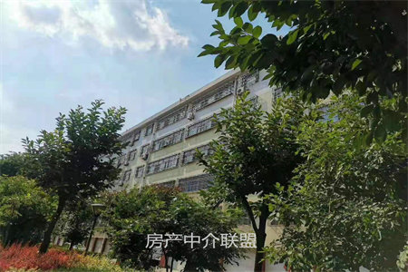农村信用社家属院3室2厅1卫63万135m2简单装修出售